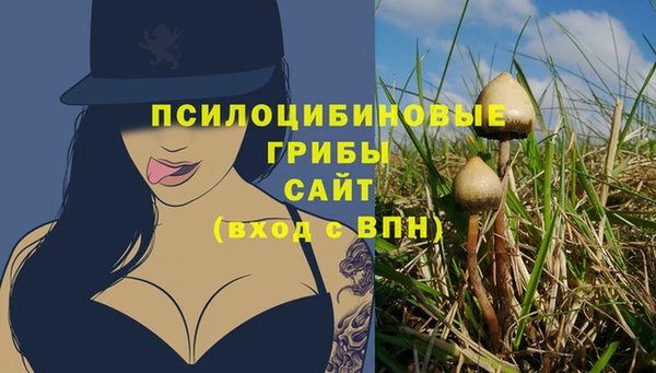 гашик Алзамай