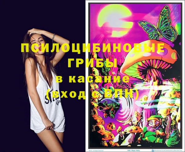 гашик Алзамай